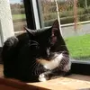 Owen Egan - @owen.egan4 - TikTok