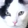 Owen Estes - @user355zxg8h3f - TikTok