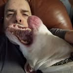 Owen Everett - Facebook