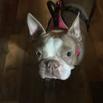 Ferrell Owen Jr - @ferrellowenjr - Instagram