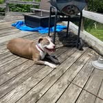 Owen Fields - @dat_dude_69420 - Instagram