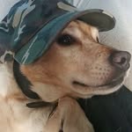 Owen Fleming - @owen2fleming66 - Instagram