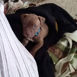 owen fleming - @owenfleming3 - Instagram