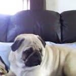 Owen Fleming - @celtic_fleming316 - Instagram