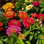 Owen’s Flowers & Produce - @owensflowersandproduce - Instagram