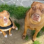 Floyd e owen - @owen_floyd33 - Instagram