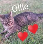 Owen Floyd - Facebook