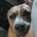 Owen Foote - @owenfoote11 - Instagram
