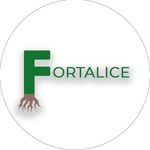 Owen Fortner - @fortalice2020 - Instagram