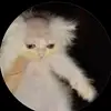 Owen Fortner - @owen.fortner8 - TikTok