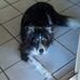 Owen Fraser - Facebook