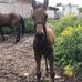 Owen Fraser - Facebook