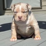 Fredrick Owen - @fredrick_owen172 - Instagram