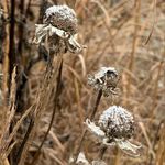Friends Of Owen Conservancy - @friendsofowenconservationpark - Instagram
