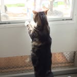 Owen - @owen_friend22 - Instagram