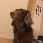 Owen Fulton - @fulton.owen - Instagram