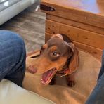Owen Garner - Facebook