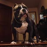 Owen Gates - @rusty__5.7 - Instagram