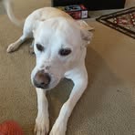Owen Gilmore - Facebook
