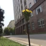 Owen Grant - @owen_grant - Instagram