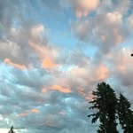 hammerstrom - @owenhammers - Instagram