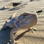 Owen Hammer - @owen_hammer15 - Instagram