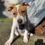 @owenhammer2021 - Instagram