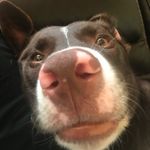 Owen Hansen - @obhpointe - Instagram