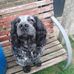 Owen Henderson - Facebook