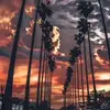 owenhill - @owenhill14 - TikTok