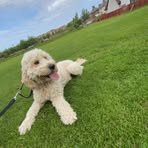 Owen Hobson - Facebook