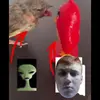 owenhobson - @owen_hobson4 - TikTok