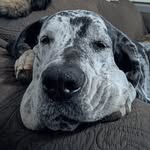 Owen Holder - @owen.holder.7 - Instagram