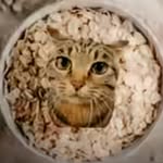 owen - @owen.holderrr - Instagram
