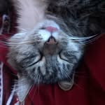 Owen Hubbard - @owenhubbard6 - Instagram