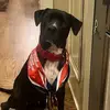 Owen Jones - @owen_jonesss - TikTok