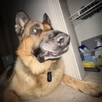 Owen Kauffman - Facebook