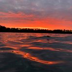 Owen Kidd - Facebook