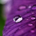 Owen Kidd - Facebook