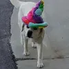 Daddy.moose - @owen.knutson - TikTok