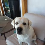 Owen knutson - @owenknutson - Instagram