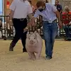 owenkocher - @owenkocher - TikTok