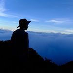 Owen Liu - @owenliu0325 - Instagram