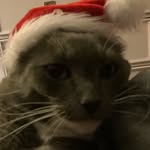 Owen Ludwig - @owenludwig1 - Instagram