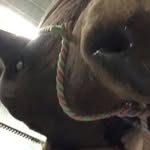 Owen Lynn - @owen.lynn_ - Instagram