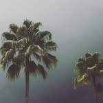 Owen Mcbride - @owen.mcbridee - Instagram
