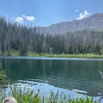 Owen McCall - @owen_mccall - Instagram