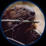 Owen McCartney - @casterfiber - Instagram