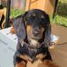 Owen McDonald - Facebook