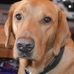 Owen Mcdonald - Facebook